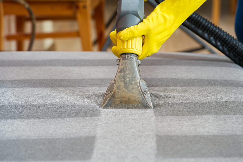 sofa chemical cleaning with professionally extract 2023 11 27 05 20 49 utc