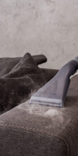 Cropped view of cleaner using vacuum cleaner with hot steam on couch upholstery